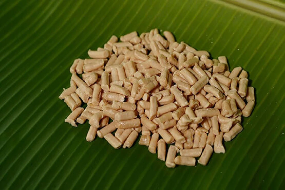 Stearic Acid